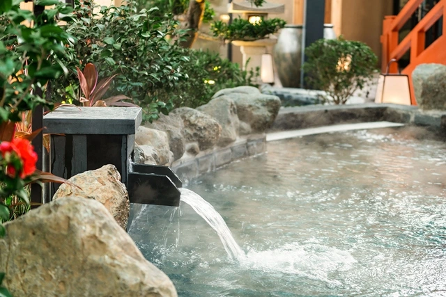 Forest Onsen: Món quà sức khỏe dành cho cha mẹ - Ảnh 3