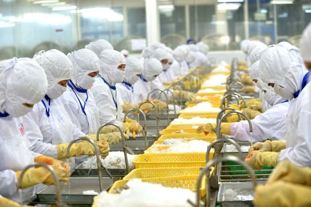 Xuất khẩu tôm vào Mỹ lại gặp khó - Ảnh 1