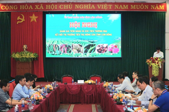 Hơn 1 triệu ha đất nông nghiệp, Lâm Đồng hướng nông sản ra toàn cầu - Ảnh 1