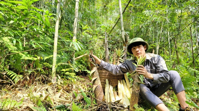 'Làng số' ở Tuyên Quang - Ảnh 2
