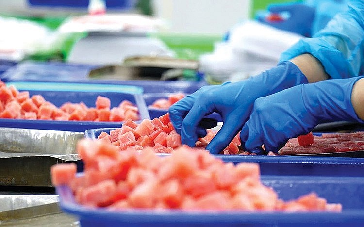 Quốc gia châu Phi báo tin vui cho Việt Nam: Nhập khẩu 1 loại 'siêu thực phẩm' tăng mạnh - Ảnh 1