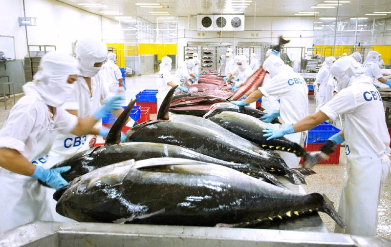 Việt Nam đón tin vui mới từ Nga - Ảnh 2