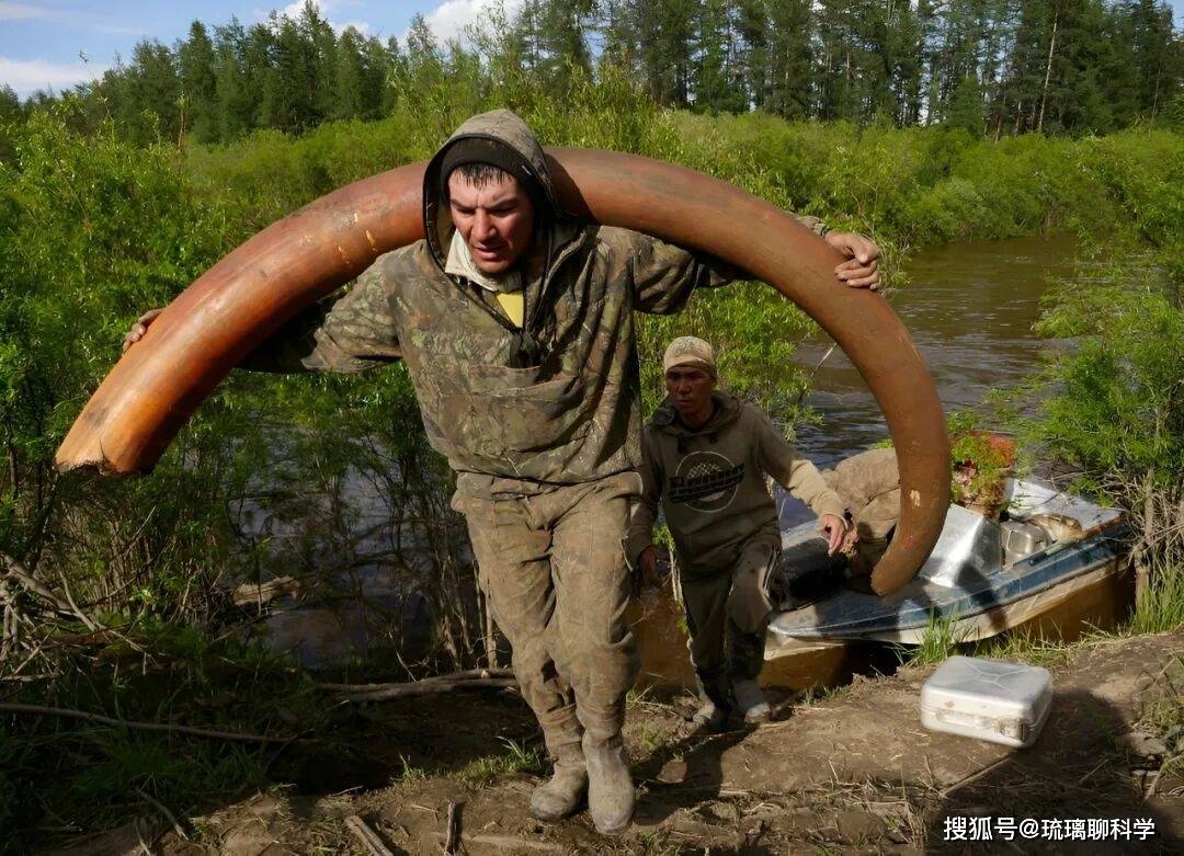 Bí ẩn rùng rợn đằng sau cơn sốt săn lùng xác voi ma mút Siberia - Ảnh 3