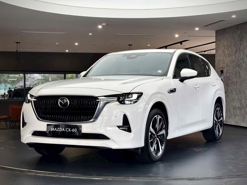 Đại lý nhận cọc Mazda CX-60 tại Việt Nam: Giá dự kiến 1,8 tỷ đồng, dùng máy hybrid gần 300 mã lực, đối thủ mới của Skoda Kodiaq - Ảnh 1