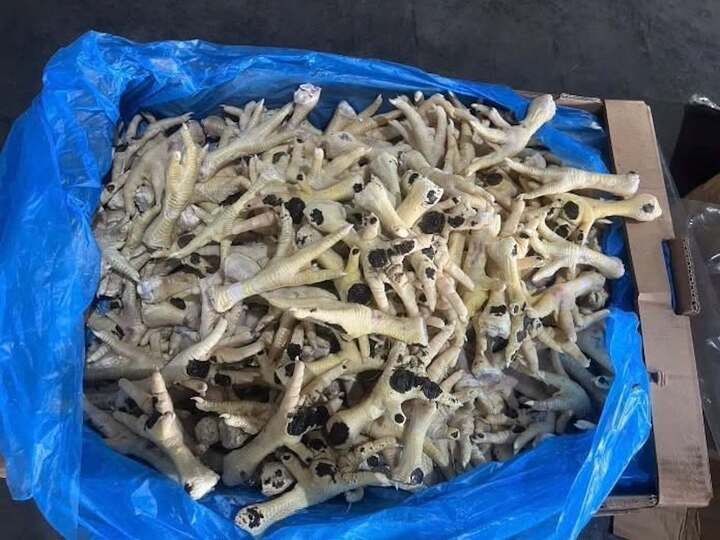 Bắt giam Giám đốc Công ty cổ phần XNK An Bình buôn lậu hàng nghìn tấn chân gà đông lạnh - Ảnh 4