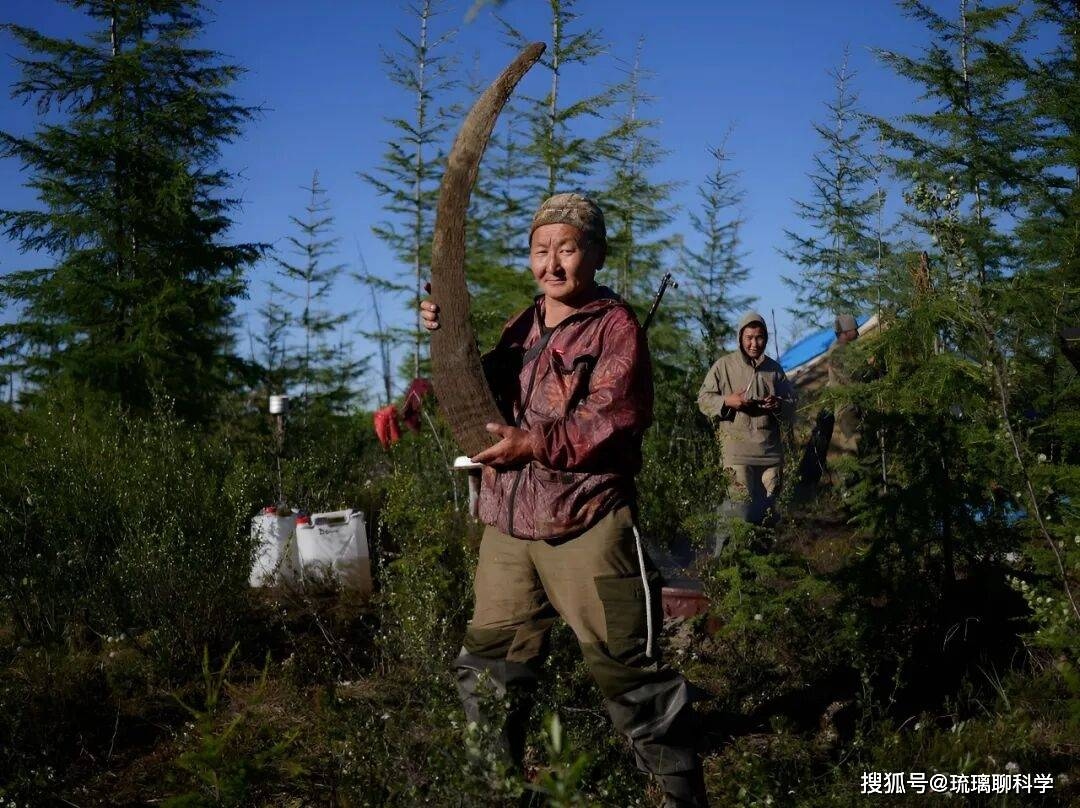 Bí ẩn rùng rợn đằng sau cơn sốt săn lùng xác voi ma mút Siberia - Ảnh 4