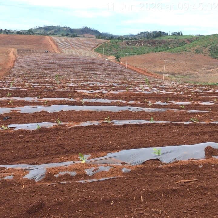 Thêm một đội bóng mang tên HAGL của Bầu Đức xuất hiện ở Lào - Ảnh 3