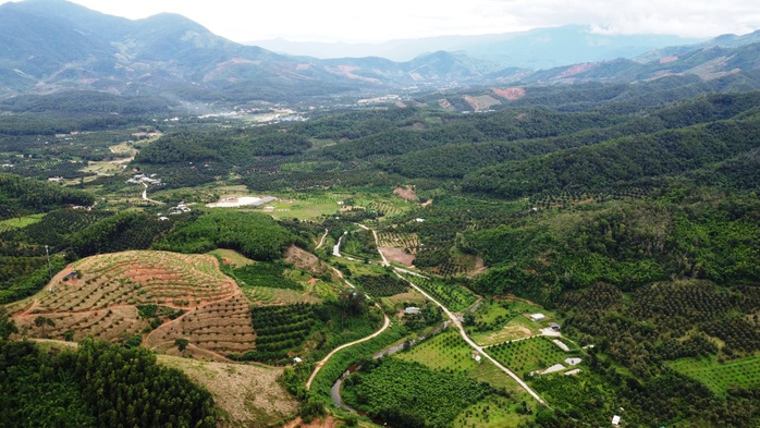 Gỡ nút thắt mặt bằng, tăng tốc đường liên vùng Khánh Hòa - Lâm Đồng - Ninh Thuận - Ảnh 3