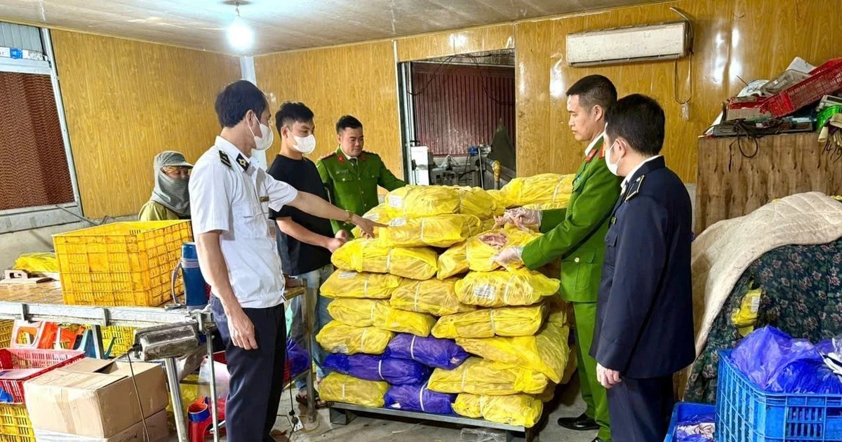 Bắt giam Giám đốc Công ty cổ phần XNK An Bình buôn lậu hàng nghìn tấn chân gà đông lạnh - Ảnh 5