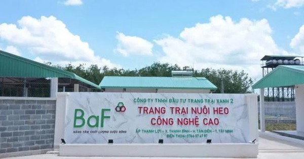 Bên trong trang trại 900 tỷ ở Nghệ An dùng công nghệ cao từ Trung Quốc: Chở heo bằng xe tải không người lái, không khí phải qua 4 lớp lọc - Ảnh 4