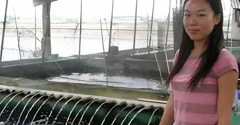 Hơn 10 ngày nữa, Vingroup của tỷ phú Phạm Nhật Vượng sẽ khởi công siêu công trình hầm – cầu vượt biển đầu tiên trong lịch sử tại thành phố giàu nhất Việt Nam - Ảnh 3