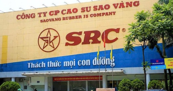 Một ngân hàng chuẩn bị chia cổ phiếu thưởng tỷ lệ 15% - Ảnh 3