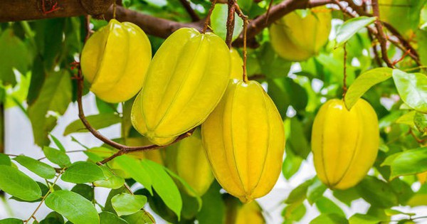 Phát hiện 1 cụ bà ăn xin chiều về sống trong villa, sở hữu 10 căn nhà - Ảnh 4