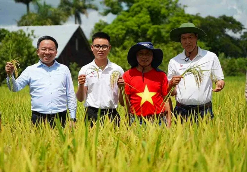 Vượt nửa vòng Trái đất đến Cuba: Kỹ sư Việt bắt tay làm ngay 1 việc, kỳ tích xuất hiện vào tháng 5/2026 - Ảnh 1