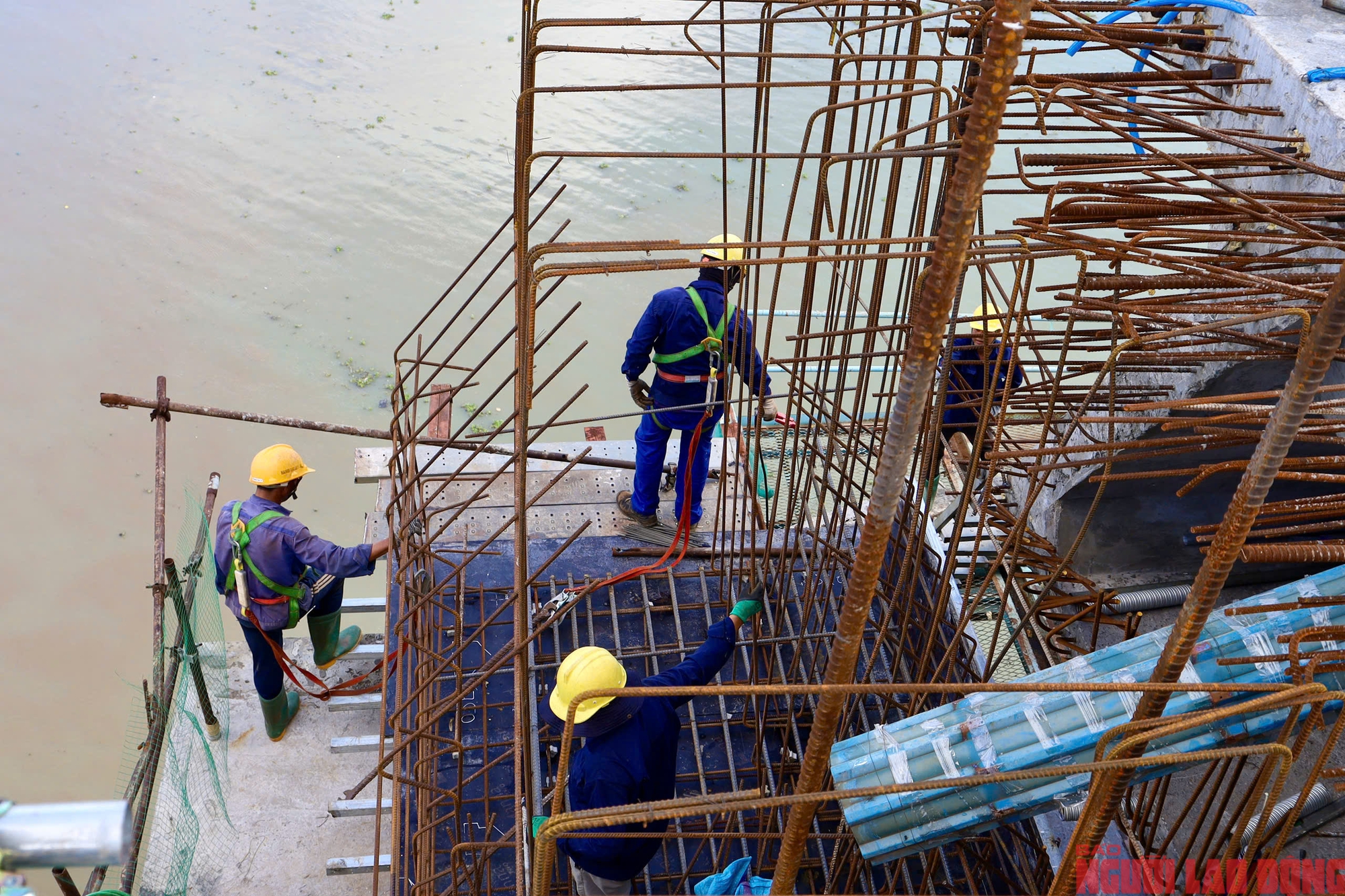 Cầu Phước Khánh hoàn thành 2 bó cáp dây văng cuối cùng - Ảnh 2