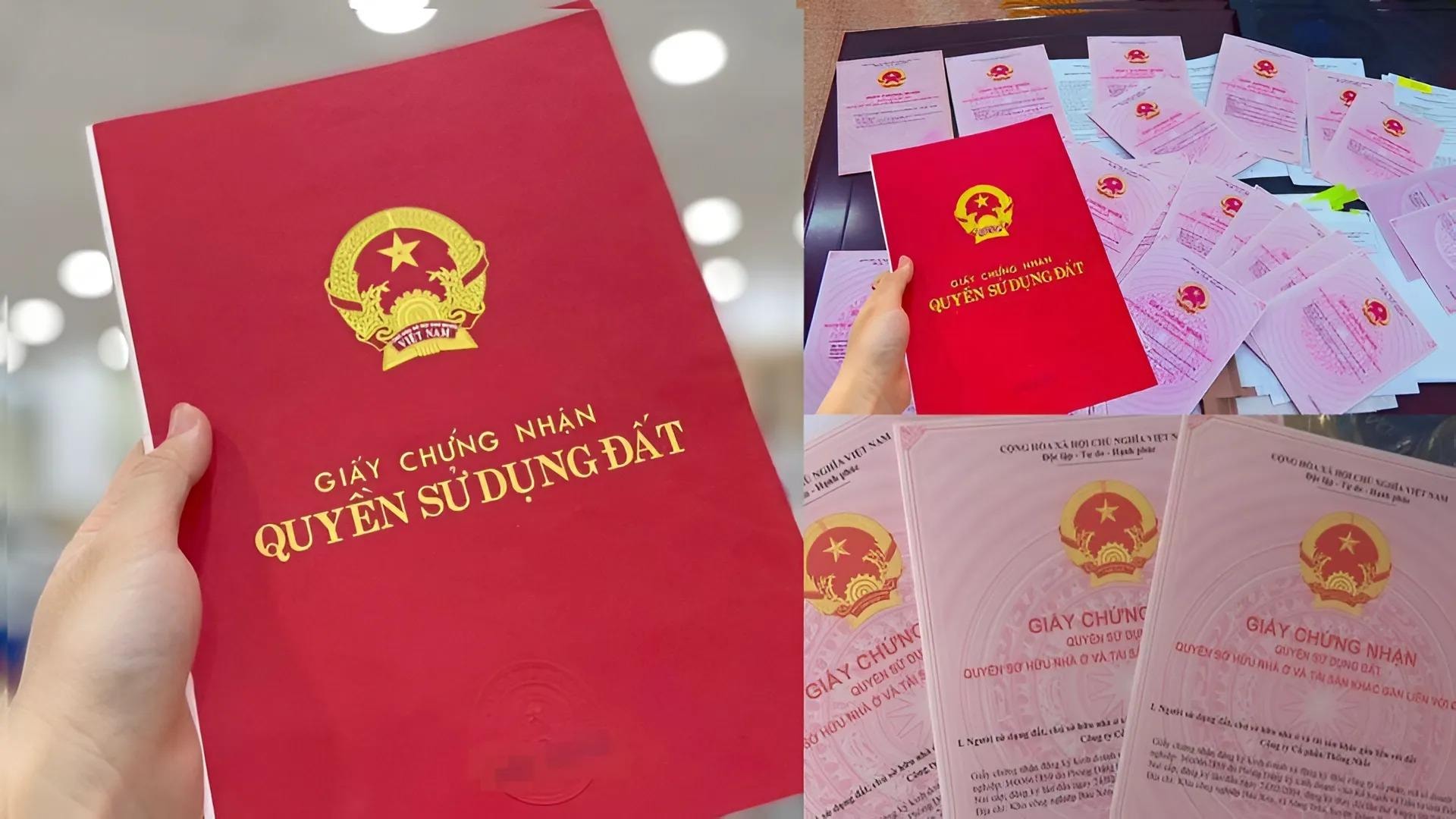 Năm 2026, những trường hợp sau sẽ bị thu hồi Sổ đỏ - Ảnh 1