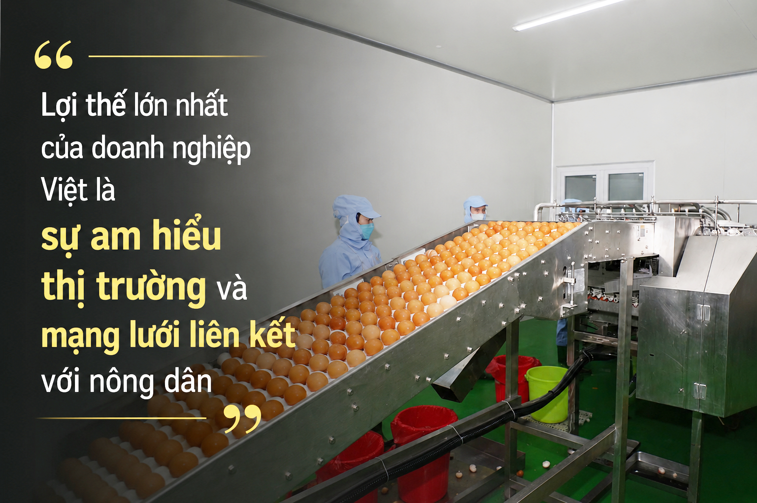Mất 90% tài sản vì cúm gia cầm, người đàn ông miền Tây xây lại doanh nghiệp tiêu thụ 1 triệu quả trứng mỗi ngày - Ảnh 3