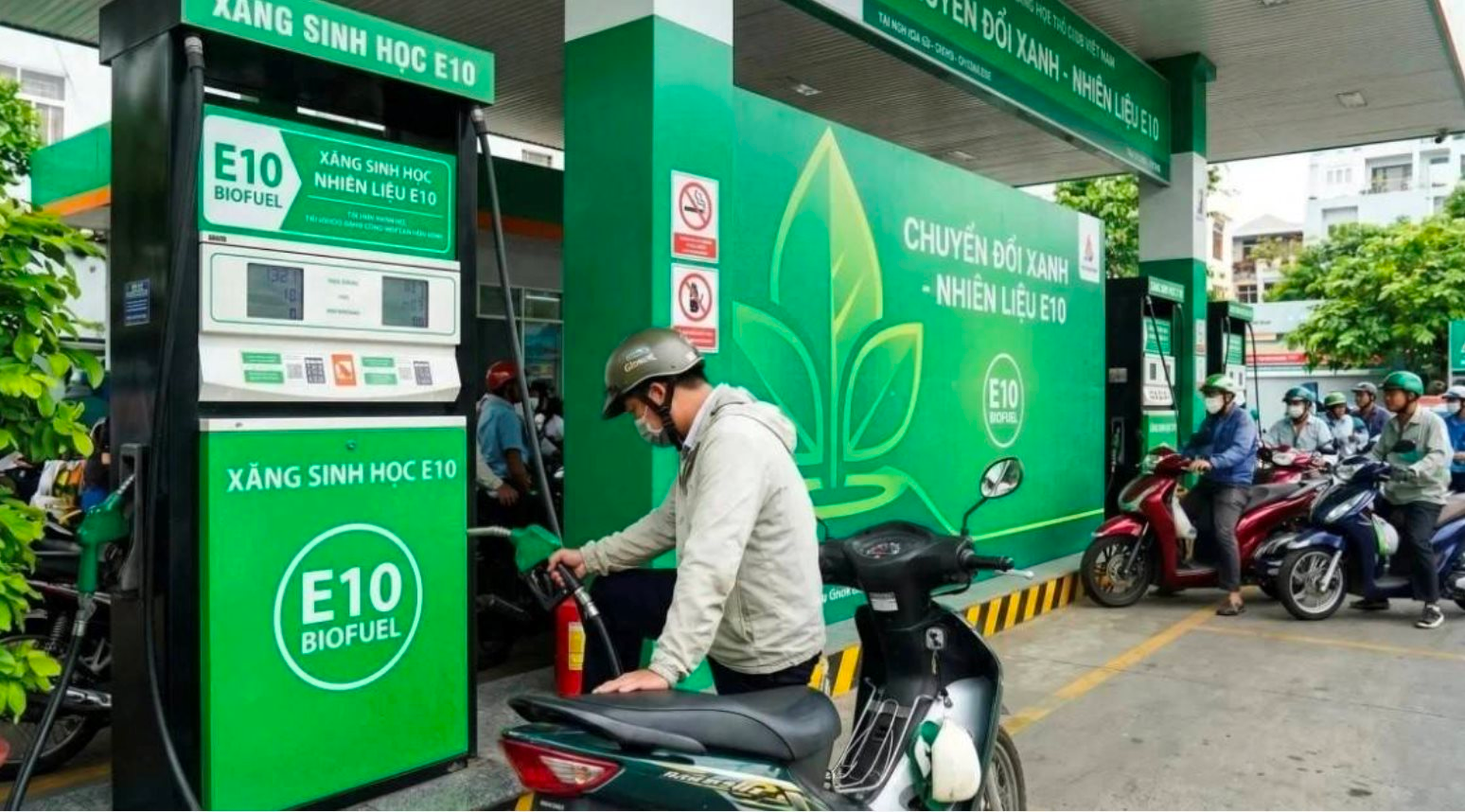Lời giải cho nỗi lo xăng E10: Không Chính phủ nào lại đi bơm "máu bẩn" vào nền kinh tế - Ảnh 1