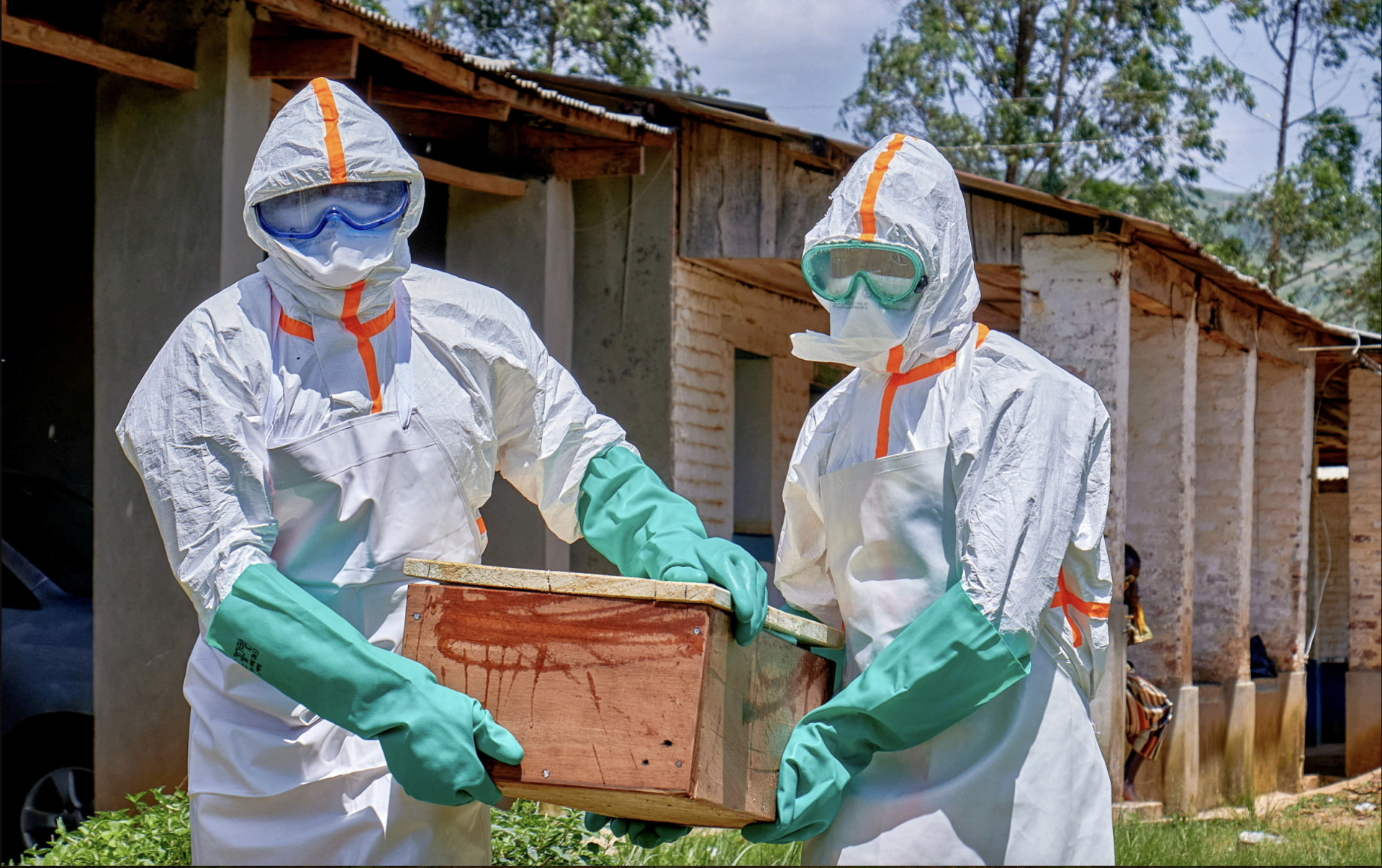 Nguy cơ tái diễn thảm kịch Ebola 2014: WHO cảnh báo số ca mắc tăng vọt - Ảnh 1