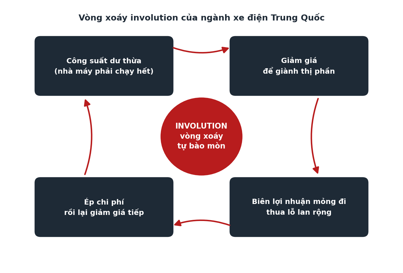 Involution: từ người Trung Quốc nghĩ ra để gọi cuộc chiến giá đang nuốt chửng ngành xe của chính họ - Ảnh 2