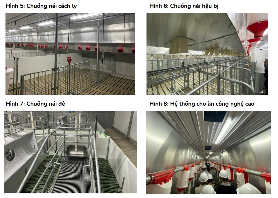 Bên trong trang trại 900 tỷ ở Nghệ An dùng công nghệ cao từ Trung Quốc: Chở heo bằng xe tải không người lái, không khí phải qua 4 lớp lọc - Ảnh 3