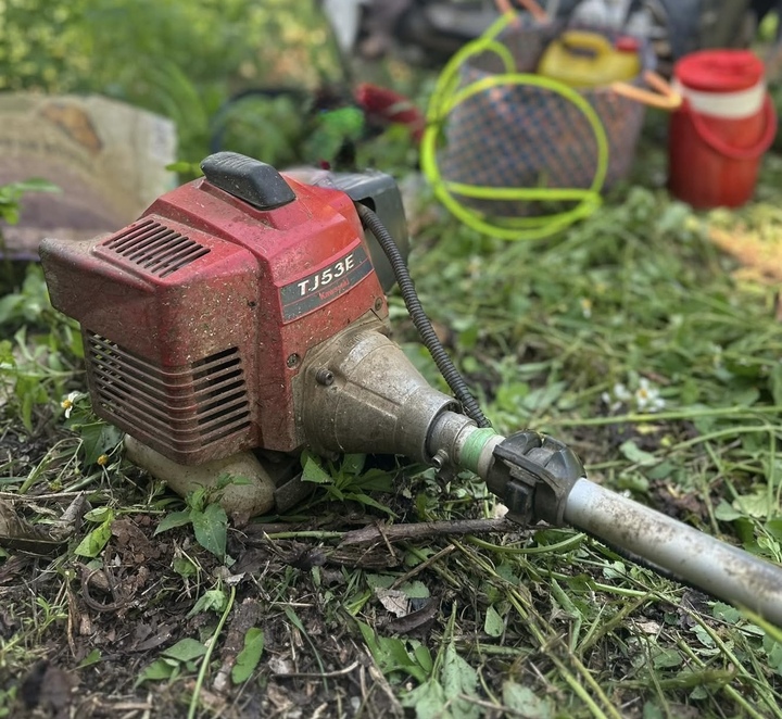 Máy nông nghiệp cũ ‘kén’ xăng E10, nhà vườn tìm mua xăng E5 - Ảnh 2