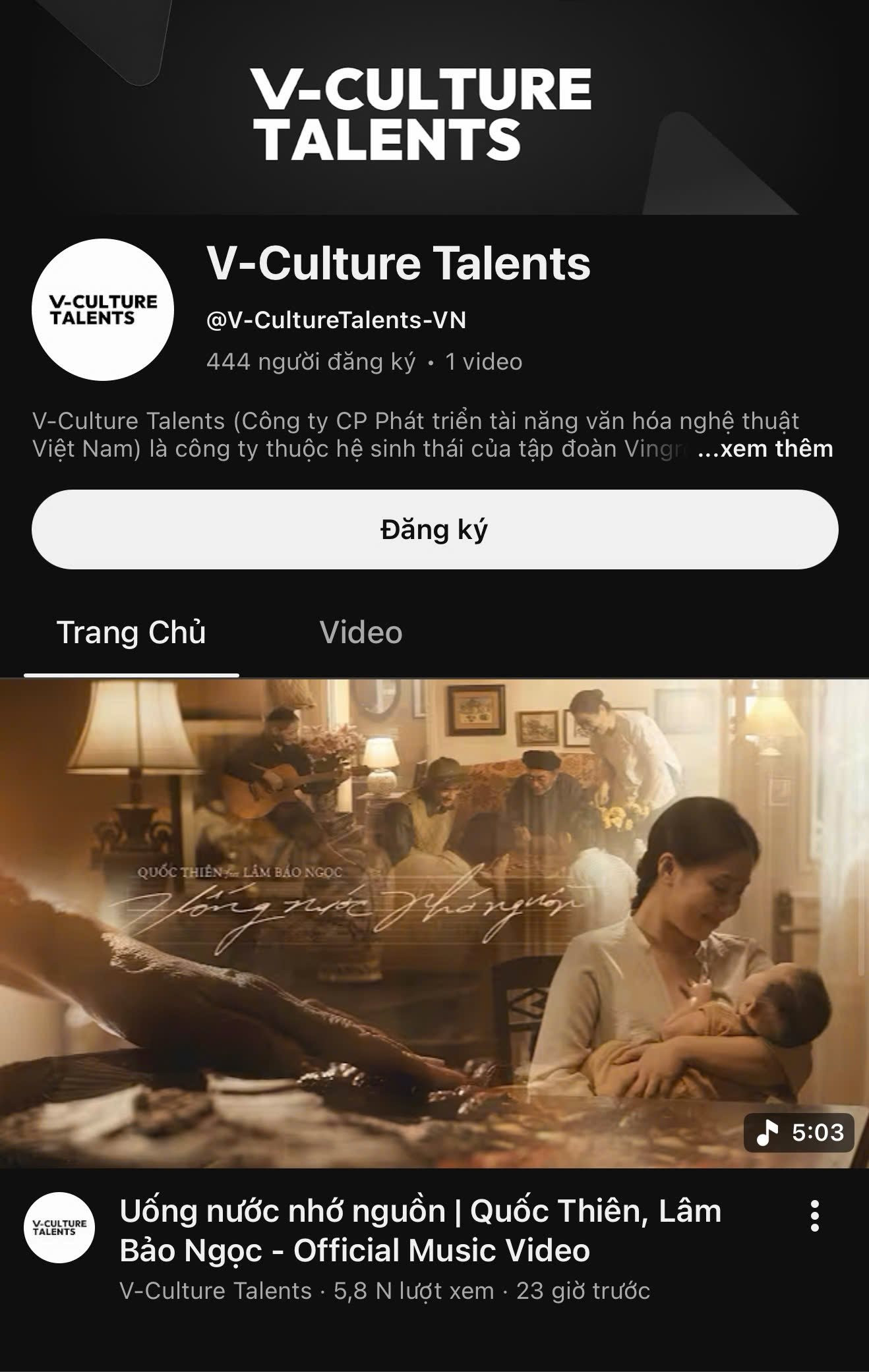 Doanh nghiệp của tỷ phú Phạm Nhật Vượng phát hành MV đầu tay, chính thức ra mắt mảng âm nhạc - Ảnh 1