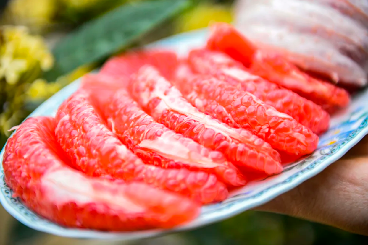 Loại quả Việt Nam lọt top ngon nhất thế giới: Chỉ có ở Thanh Hóa, mỗi năm thu 1 lần, cận vụ càng khó mua - Ảnh 2