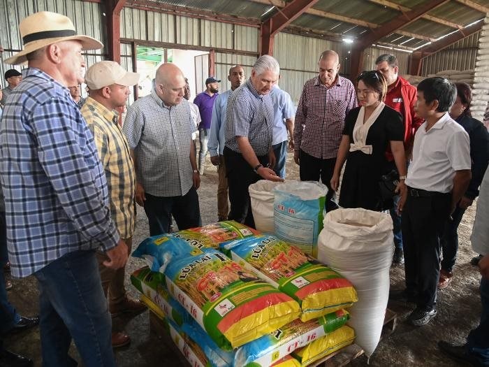 Một mô hình độc lạ “Made by Vietnam” xuất hiện trên cánh đồng lúa ở Cuba - Ảnh 5