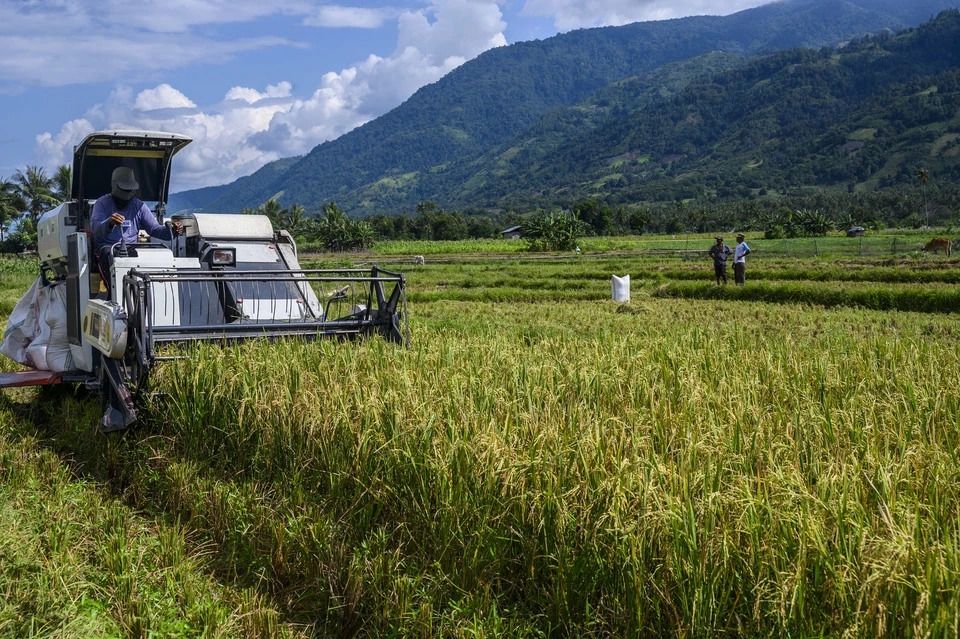 Việt Nam đã triển khai nhiều năm, Indonesia nay mới thử nghiệm cách trồng lúa cho kết quả bất ngờ - Ảnh 1