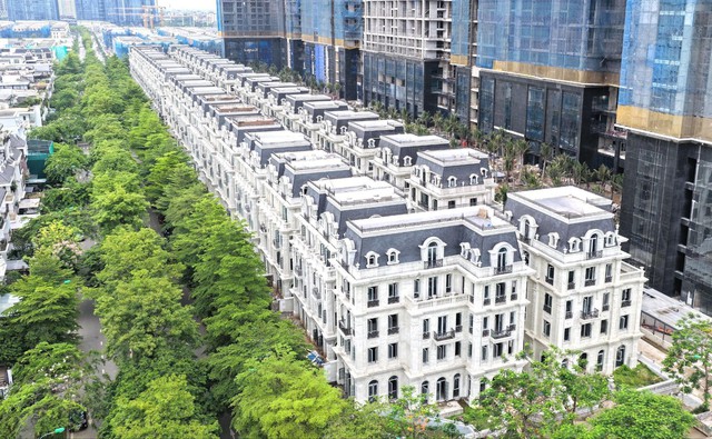 Cận cảnh BST dinh thự siêu sang giữa Ciputra: diện tích sàn cả ngàn m2, sổ đỏ trao tay ngay khi nhận nhà - Ảnh 1