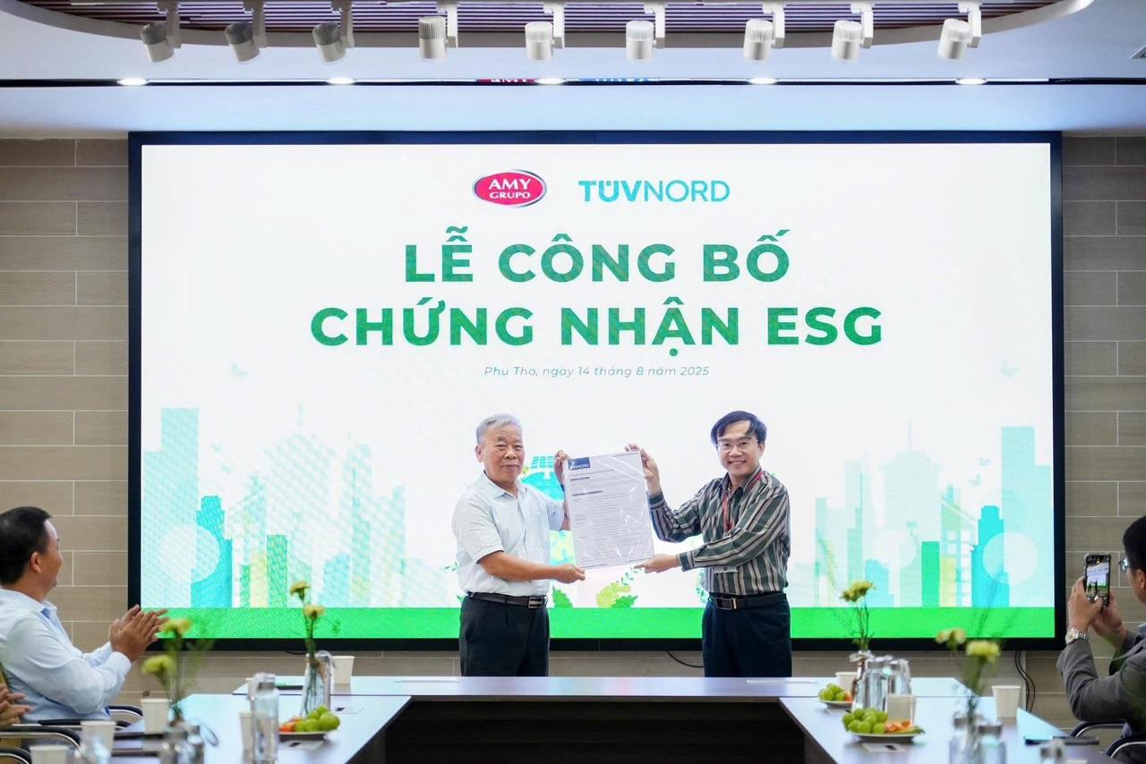 AMY GRUPO: Một thập kỷ xây nền cho những khát vọng lớn hơn - Ảnh 2