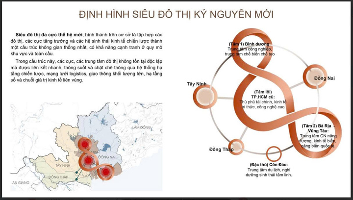 Chuyên gia: Quy hoạch TP.HCM phải trả lời được câu hỏi ngành kinh tế nào tạo ra giá trị cao nhất - Ảnh 4