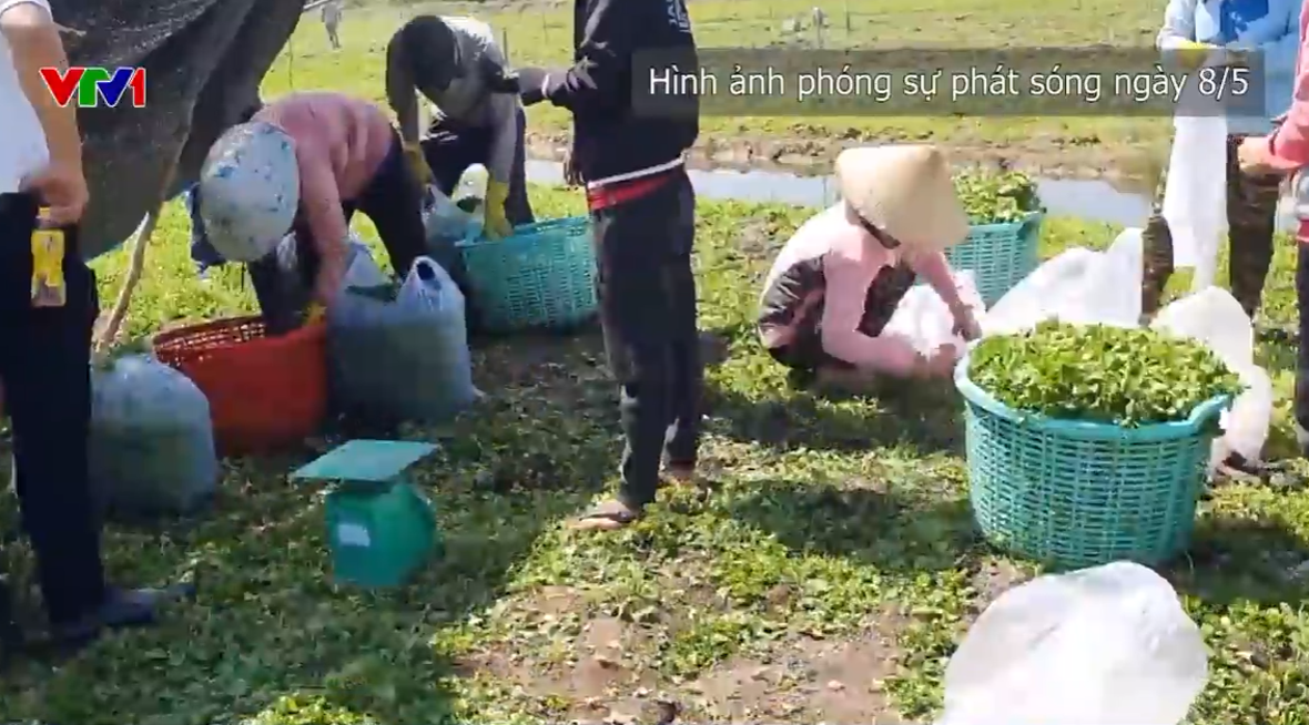 Khởi tố Chủ tịch CCV Group, hàng trăm người bị lừa hơn 1.000 tỷ đồng - Ảnh 2