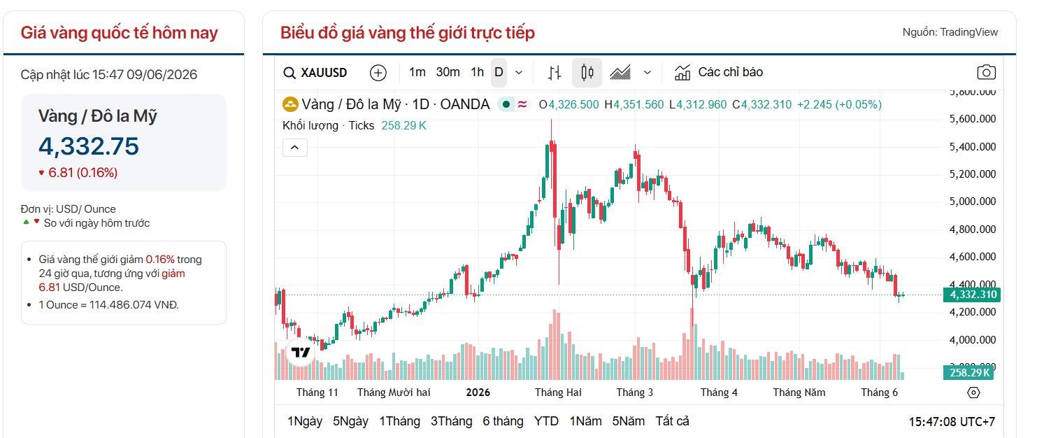 TS. Đinh Thế Hiển: Giá vàng có thể giảm về 3.500-4.000 USD/ounce vào cuối năm 2026 - Ảnh 2