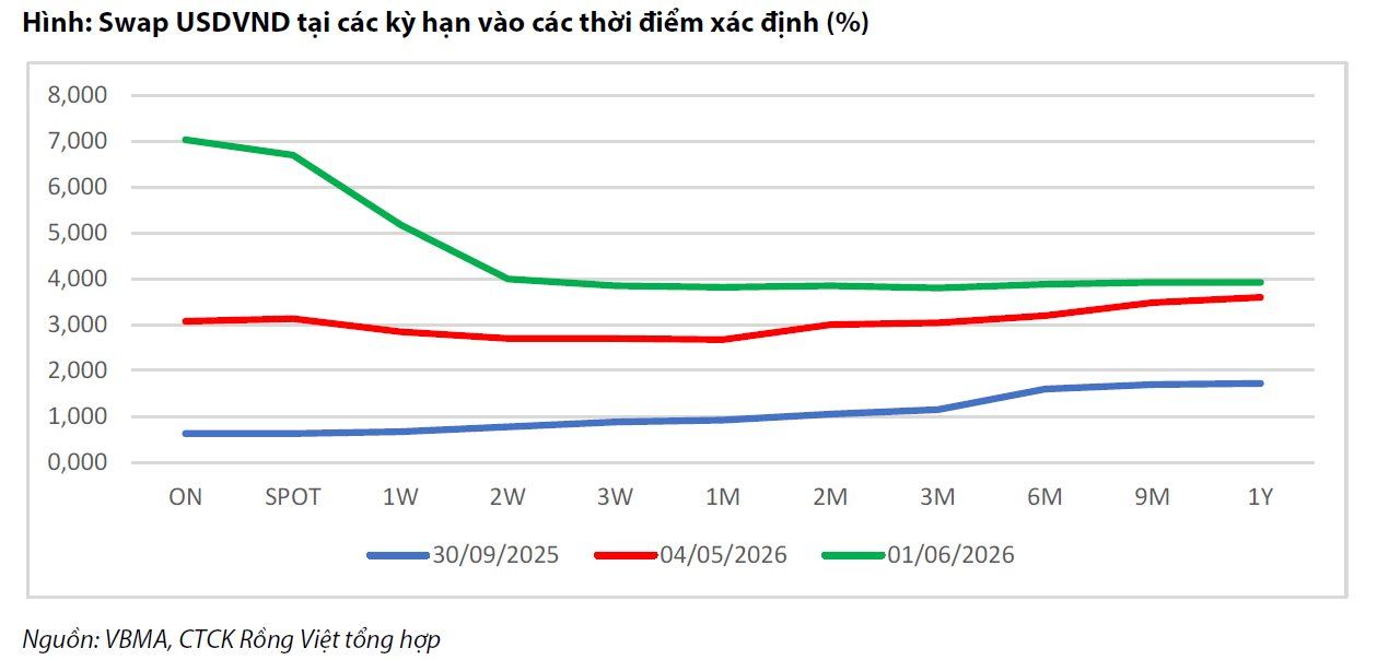 Vì sao tỷ giá USD ổn định dù Việt Nam nhập siêu gần 14 tỷ USD? - Ảnh 4