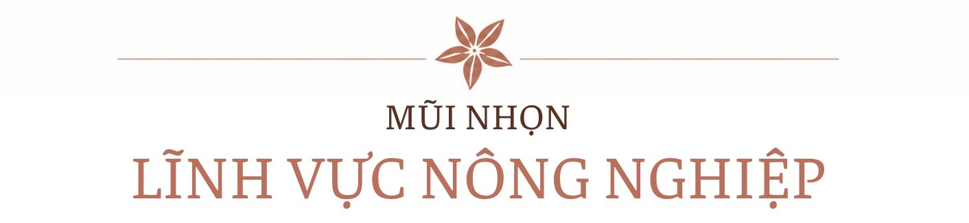 Bà Thái Hương: Nữ CEO đặc biệt nhất hệ thống ngân hàng Việt Nam - Ảnh 5