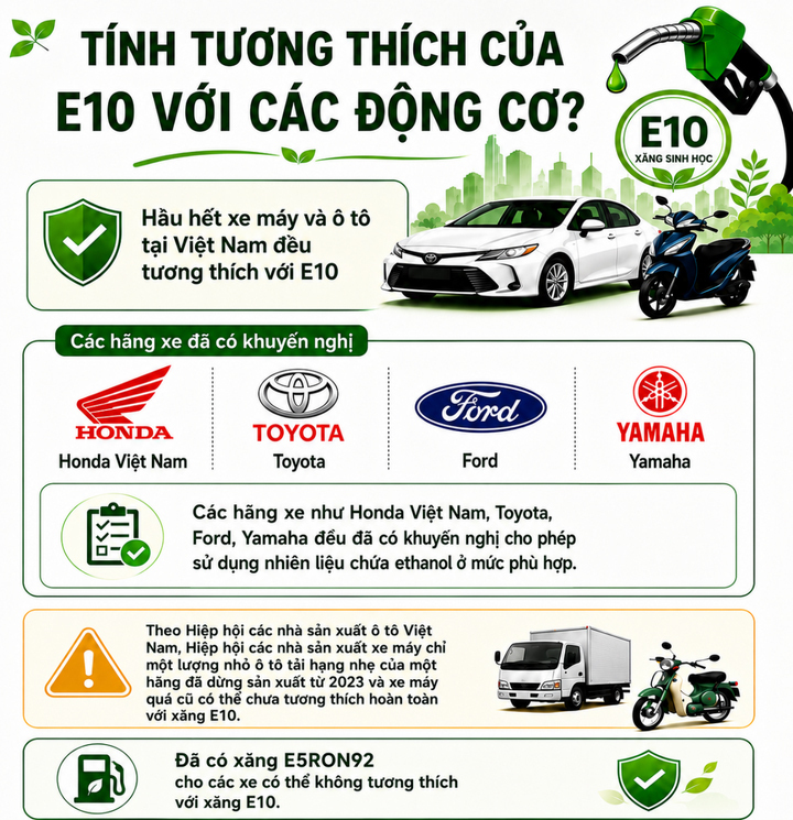 Xăng E10 được kiểm soát chặt chẽ như thế nào trước khi ra thị trường? - Ảnh 3