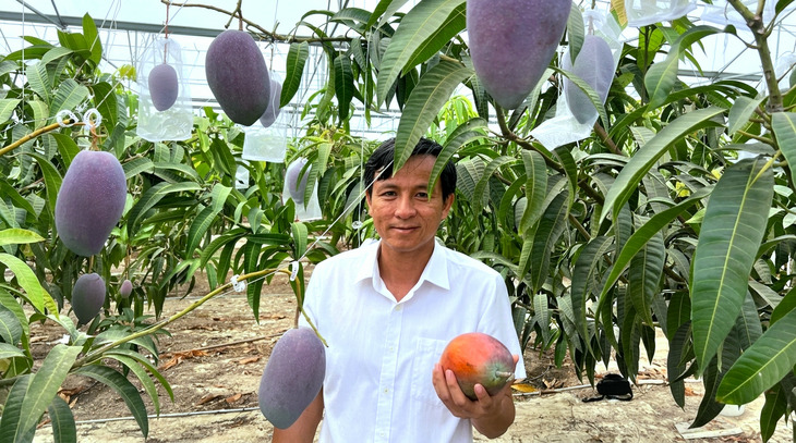 Giống xoài đắt đỏ bậc nhất thế giới 1,7 triệu/1 quả: Trồng thành công tại Việt Nam - Ảnh 1