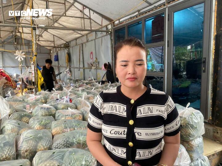 Dứa Thanh Hóa rẻ như cho, lên Hà Nội giá 25.000 đồng/kg - Ảnh 3