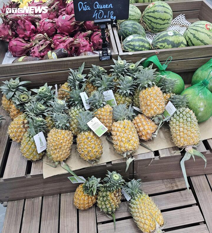 Dứa Thanh Hóa rẻ như cho, lên Hà Nội giá 25.000 đồng/kg - Ảnh 10