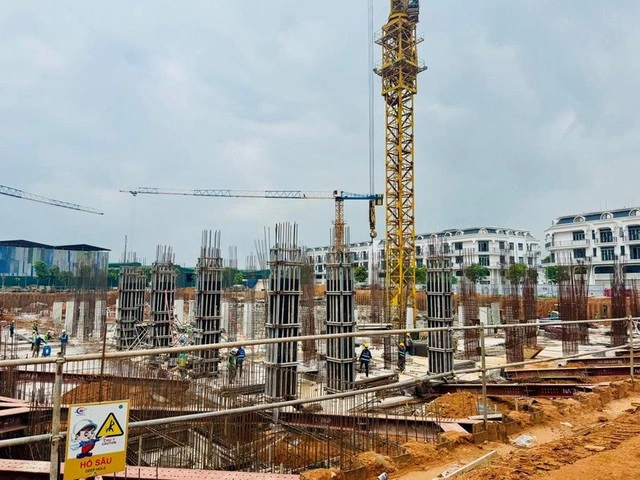 Khi chuẩn mực chất lượng lên tiếng - Ảnh 1