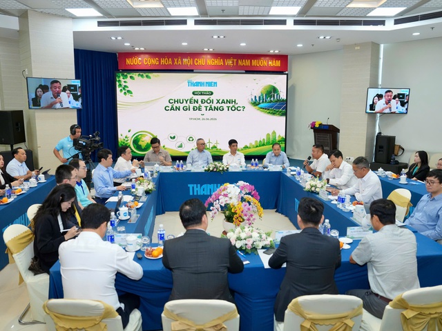 Việt Nam đứng trước cơ hội lớn phát triển mạnh ngành năng lượng tái tạo - Ảnh 1