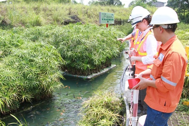 5 năm liên tiếp Masan được vinh danh doanh nghiệp phát triển bền vững tiêu biểu - Ảnh 5