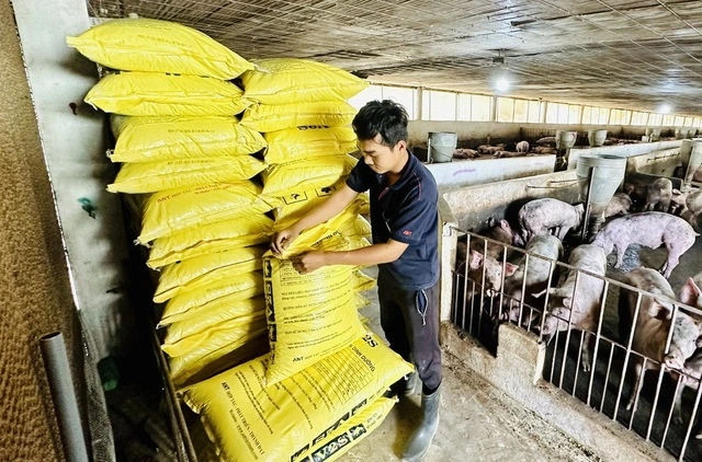Thịt nhập khẩu tăng vọt, giá heo hơi giảm sâu - Ảnh 1
