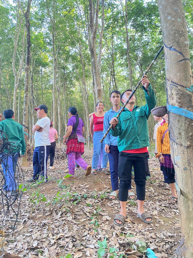 Cháng Seo Cú - Vững tay nghề, sáng vai trò ‘cầu nối’ lao động vùng cao - Ảnh 1