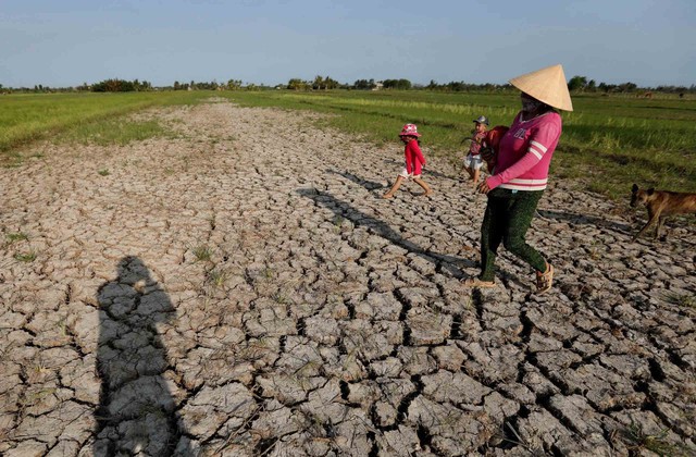 Chủ động ứng phó El Nino đang gia tăng cường độ - Ảnh 1
