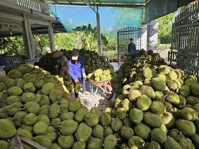 Xuất khẩu nông sản 'lãi ròng' lớn - Ảnh 1