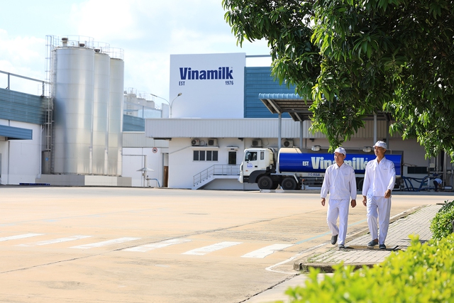 Vinamilk là doanh nghiệp sữa duy nhất của Việt Nam trong Fortune 500 Đông Nam Á - Ảnh 1