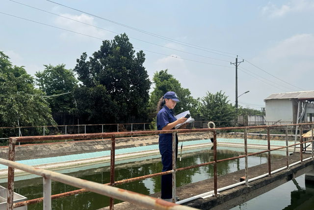 Người phụ nữ thầm lặng giữ màu xanh cho nhà máy cao su - Ảnh 1
